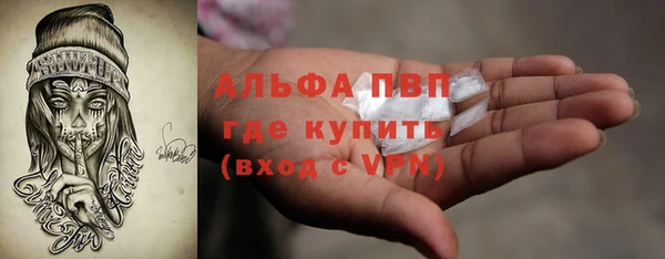 молекула духа Осташков