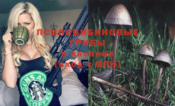 apvp Гусиноозёрск