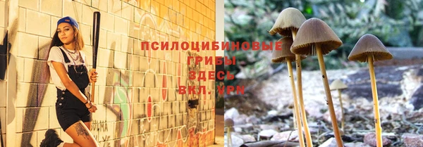 герыч Снежногорск