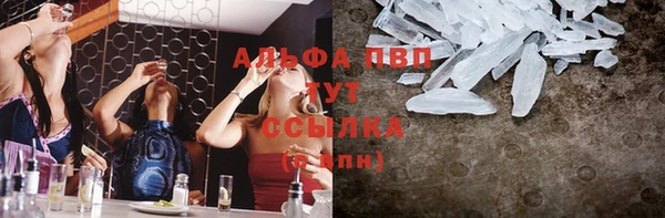apvp Гусиноозёрск