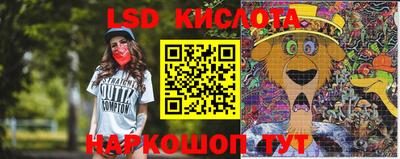прущие грибы Кунгур