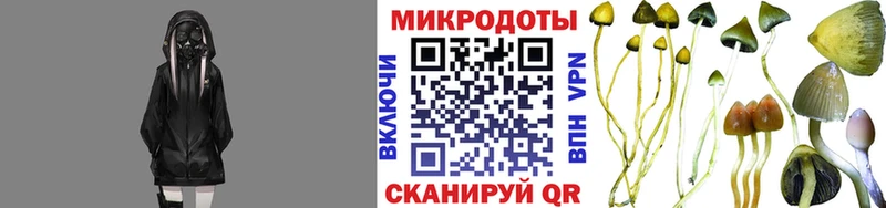 Псилоцибиновые грибы прущие грибы  Донской 