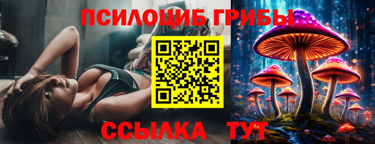 Псилоцибиновые грибы Cubensis  Вход с VPN  закладка  Донской  Псилоцибиновые грибы GOLDEN TEACHER 