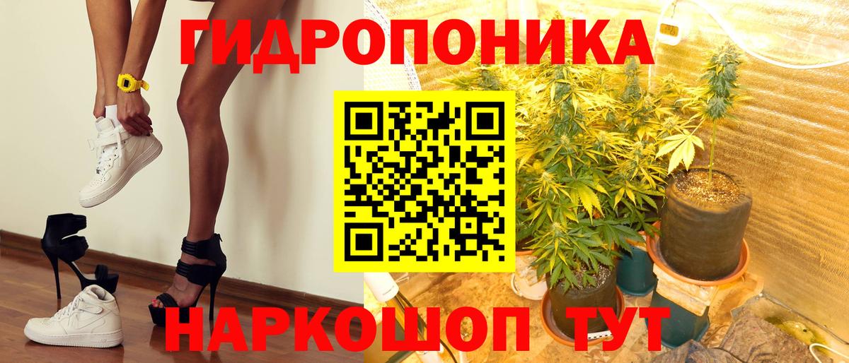 Бошки марихуана конопля  МАРИХУАНА индика  Вход с VPN  Конопля Amnesia  Донской 