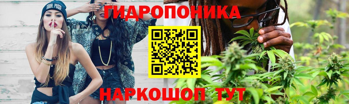 Конопля сатива Донской